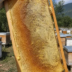 Erzurum İspir Doğal Esmer Petek Balı (Çerçeve Petek) - 3 - 3.5 kg