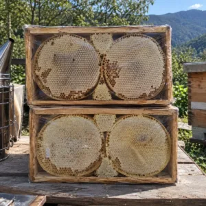 Erzurum İspir Doğal Sarı Karakovan Petek Balı (Ahşap Kasalı) - 2.6 - 2.9 kg