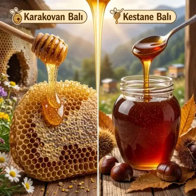 Hakiki Karakovan ve Kestane Balı Nasıl Anlaşılır (Gerçek Bal Rehberi) ayane dağ yöresel